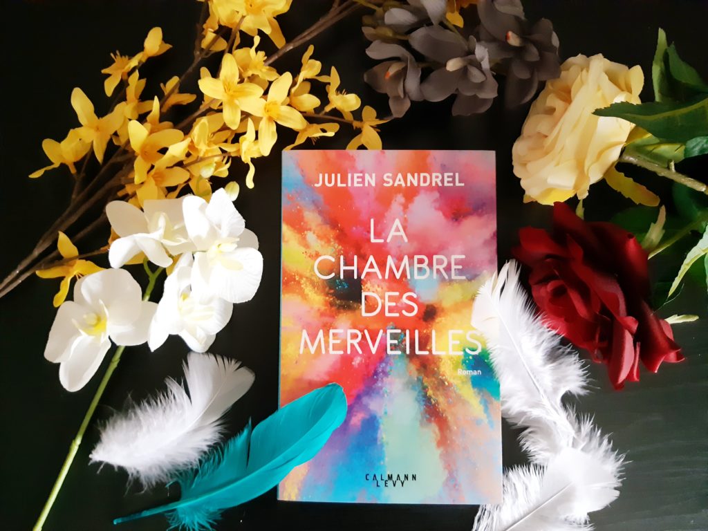 La chambre des merveilles Julien Sandrel Nao se Livre Blog Littéraire La chambre des merveilles Julien Sandrel Nao se Livre Blog Littéraire