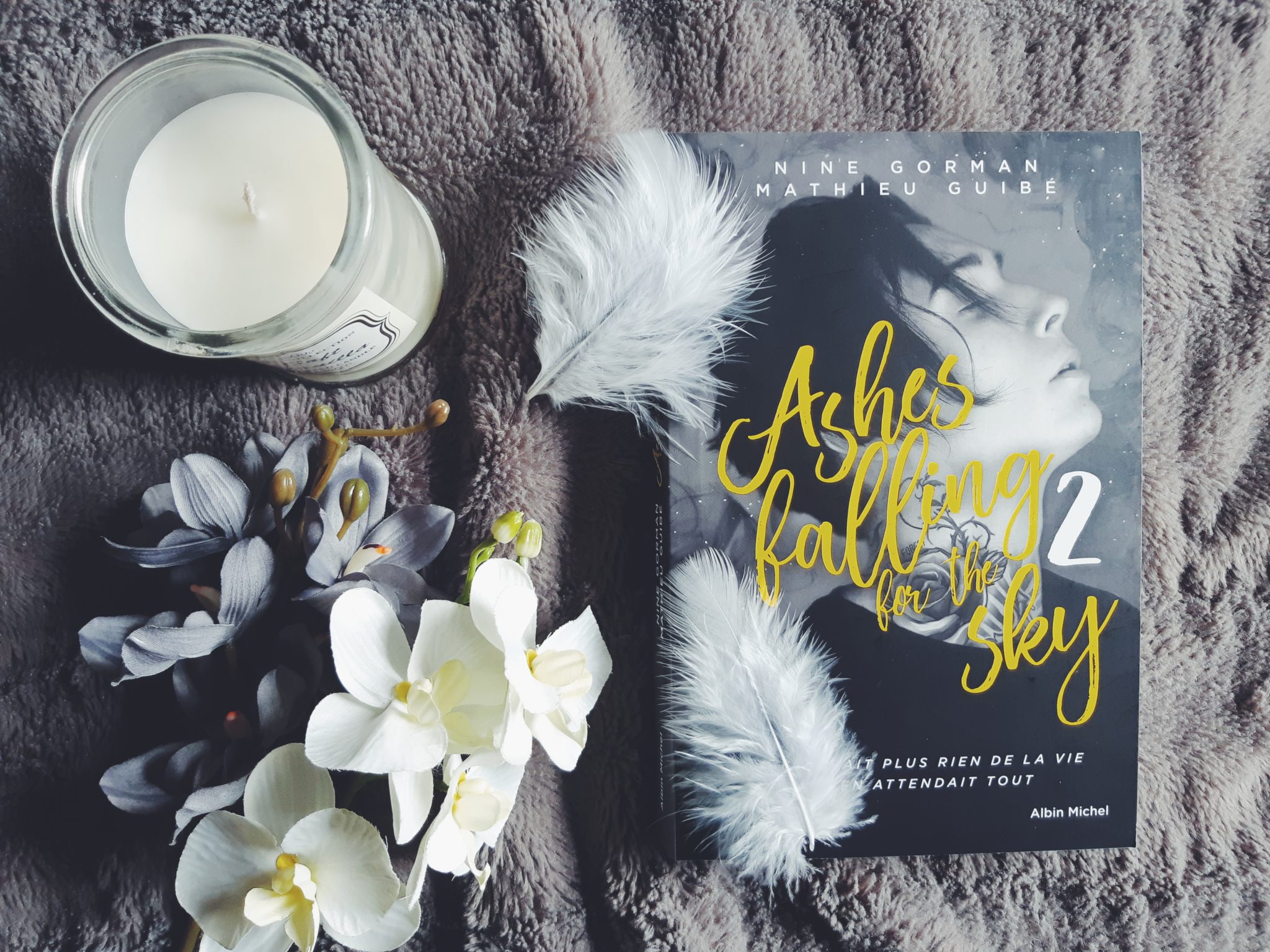 Ashes Falling For The Sky Tome 1 Scan Vf